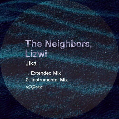 VA - The Neighbors & Lizwi - Jika (2023) (MP3)