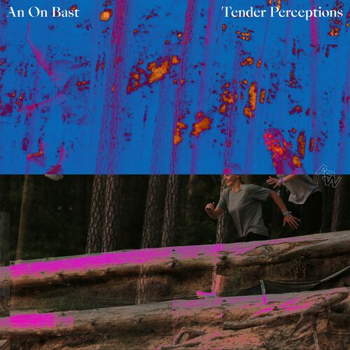  An On Bast - Tender Perceptions (2023) 