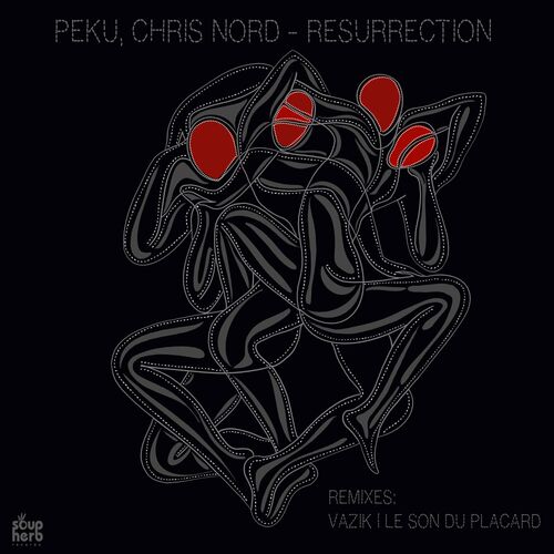  Chris Nord & Peku - Resurrection (2023) 