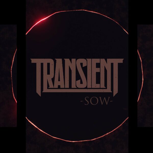 Transient - Sow [single] (2022)