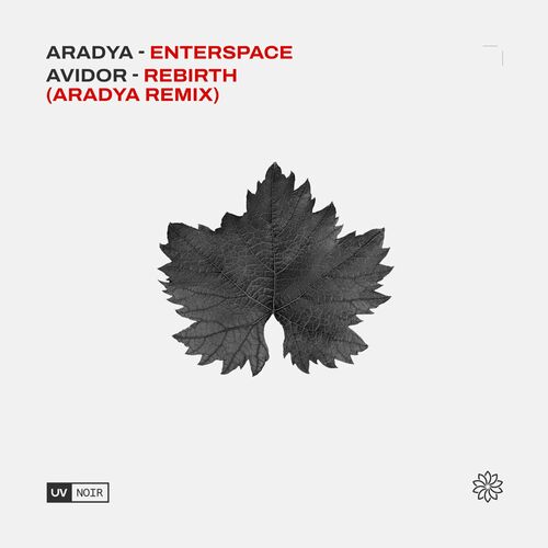  Aradya - Enterspace (2023) 