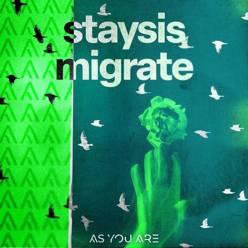  Staysis - Migrate (2024) 