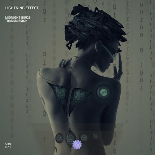  Lightning Effect - Midnight Birds (2023) 