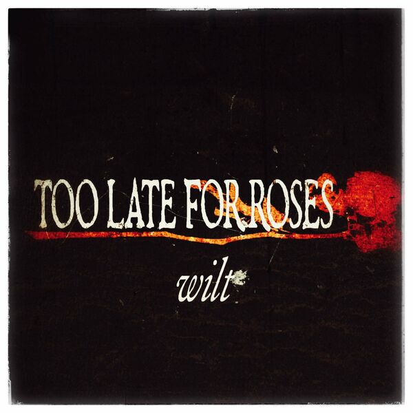 Too Late for Roses - Wilt [single] (2024)
