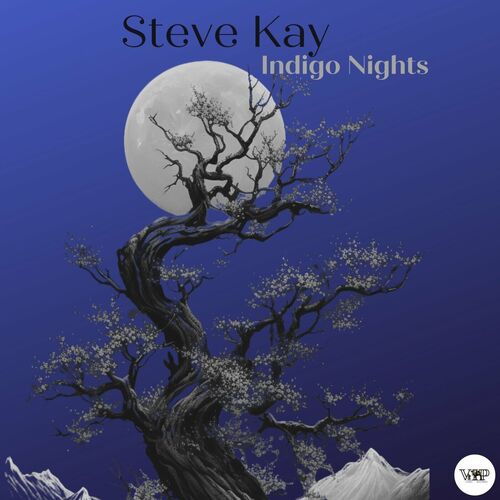  Steve Kay - Indigo Nights (2023) 