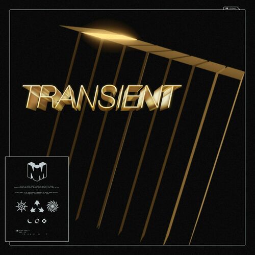  Transient - Spotlight / Dance Until the Morning (2023) 