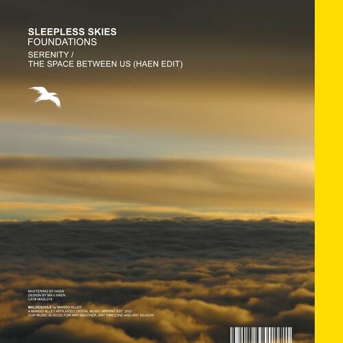  Sleepless Skies - Foundations (2023) 