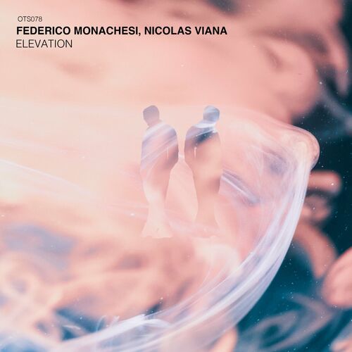 VA -  Federico Monachesi & Nicolas Viana - Elevation (2024) [MP3] 500x500-000000-80-0-0