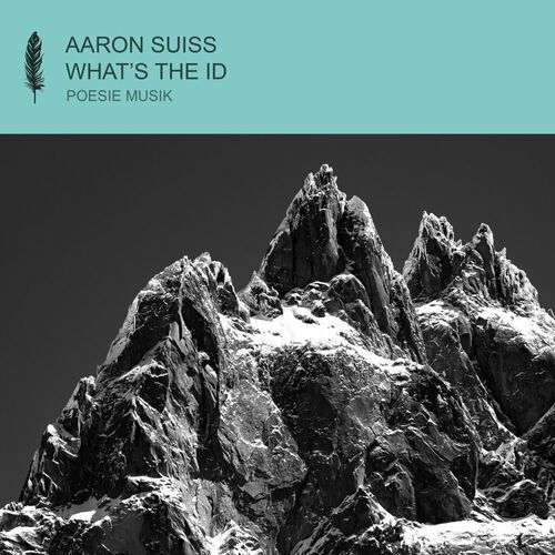  Aaron Suiss - What's The ID (2023) 