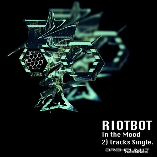  Riotbot - In the Mood (2024) 