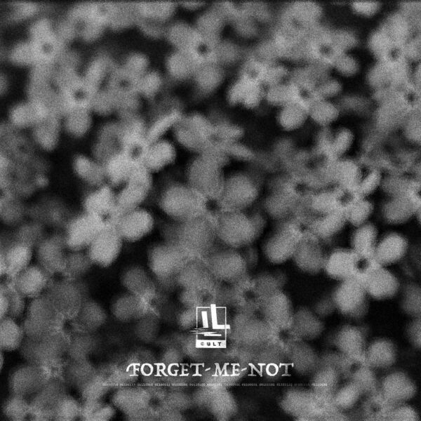 Livealie - Forget-me-not [single] (2024)