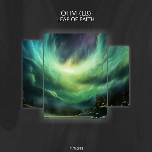  OHM (LB) - Leap of Faith (2023) 