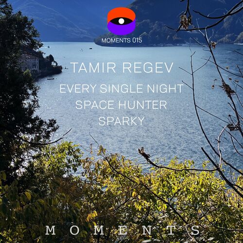  Tamir Regev - Every Single Night / Space Hunter / Sparky (2024)  500x500-000000-80-0-0