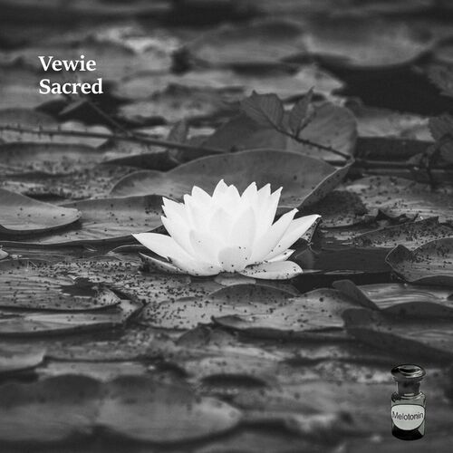  Vewie - Sacred (2024) 