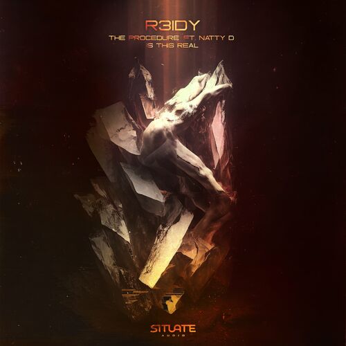  R3idy - The Procedure/Is This Real (2023) 