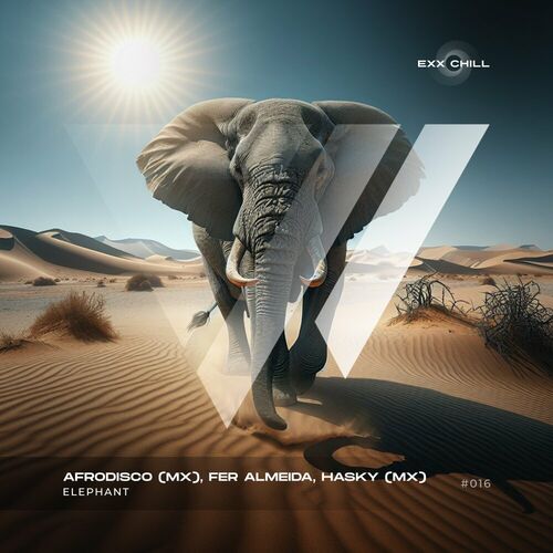 VA - AFRODISCO (MX) & Fer Almeida & HASKY (MX) - Elephant (2024) (MP3) 500x500-000000-80-0-0