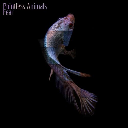  Pointless Animals - Fear (2023) 
