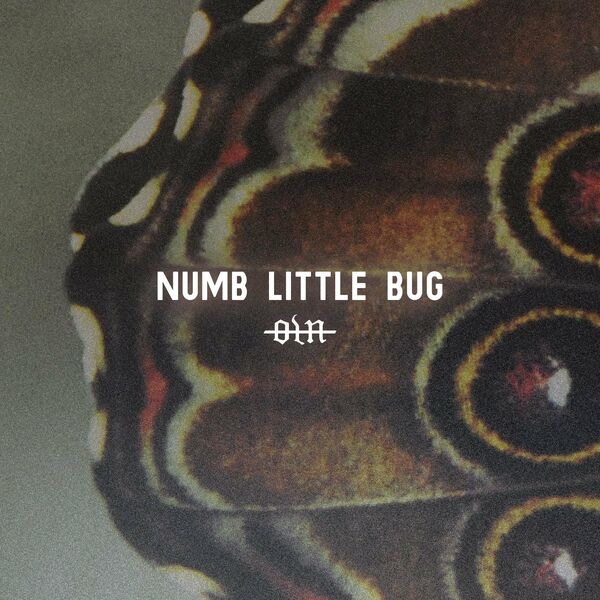 Our Last Night - Numb Little Bug [single] (2022)