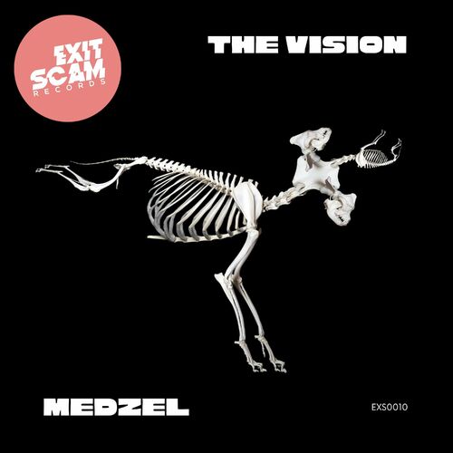  Medzel - The Vision (2023) 