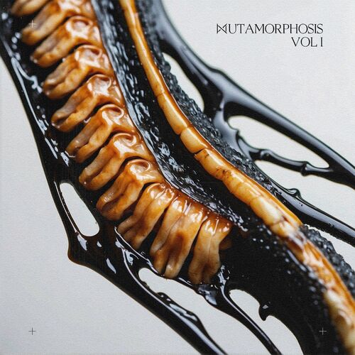  MUTAMORPHOSIS, Vol.1 WEB (2024) MP3 500x500-000000-80-0-0