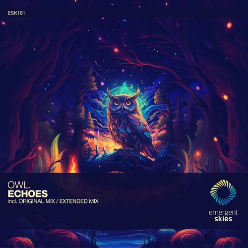  Owl. - Echoes (2024) 